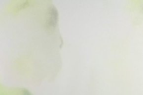 Тюль Софила (Sophila)